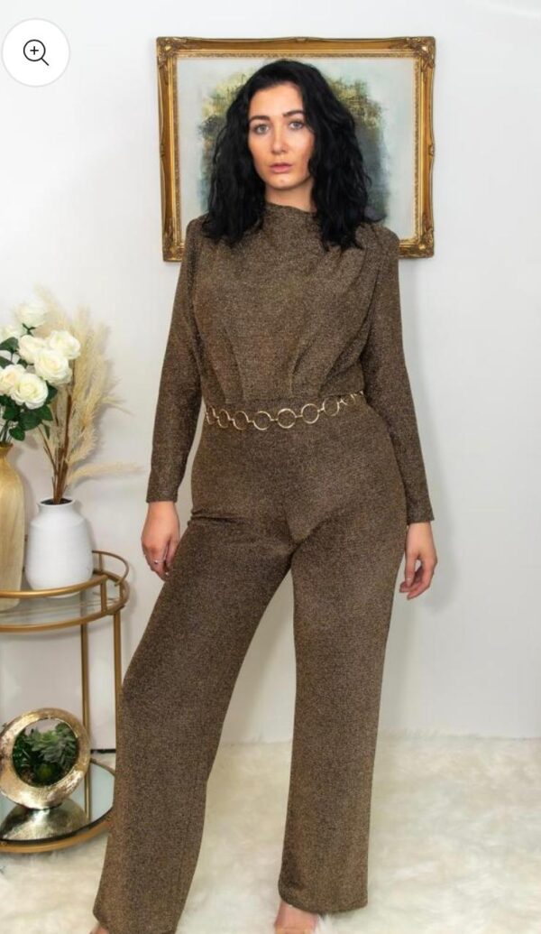 WhatsApp Image 2026-02-11 at 9.58.55 AM